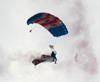 RAF Falcons at Kelso Show